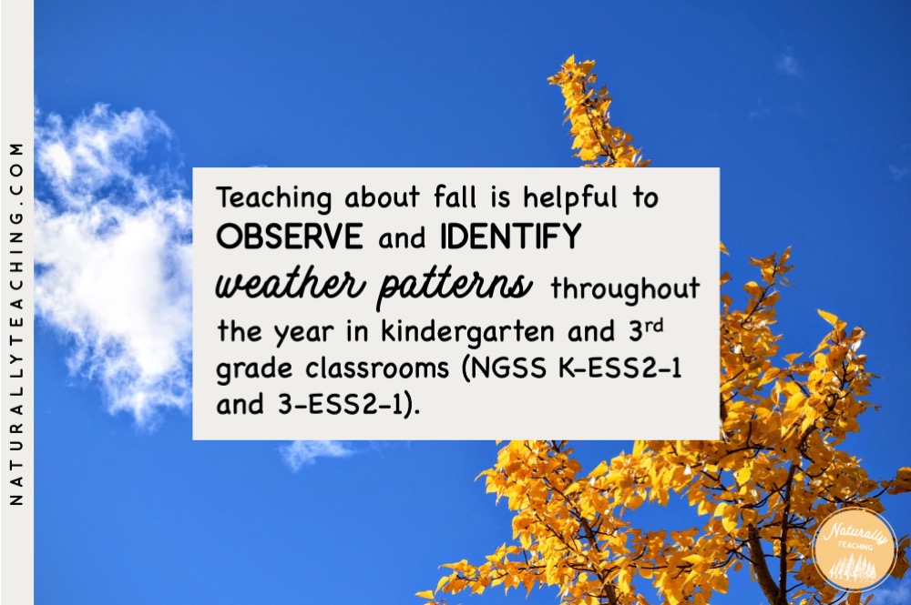 Teaching the four seasons can be helpful to observe and identify weather patterns throughout the year
