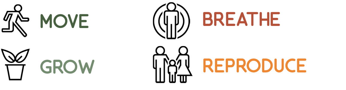 Living things move, grow, breathe, and reproduce.