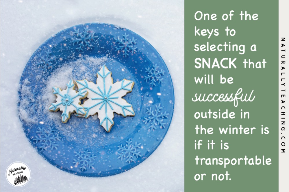 Select transportable snacks like these snowflakes cookies to be used for your outdoor winter solstice party.