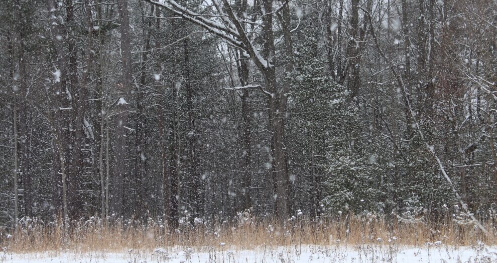 Read this guide to learn about teaching the season transition to winter in elementary school and how it relates to your weather unit