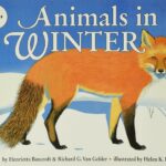 Animals in Winter by Henrietta Bancroft and Richard G. Van Gelder