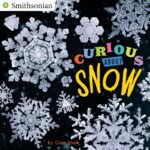 Curious About snow by Gina Shaw