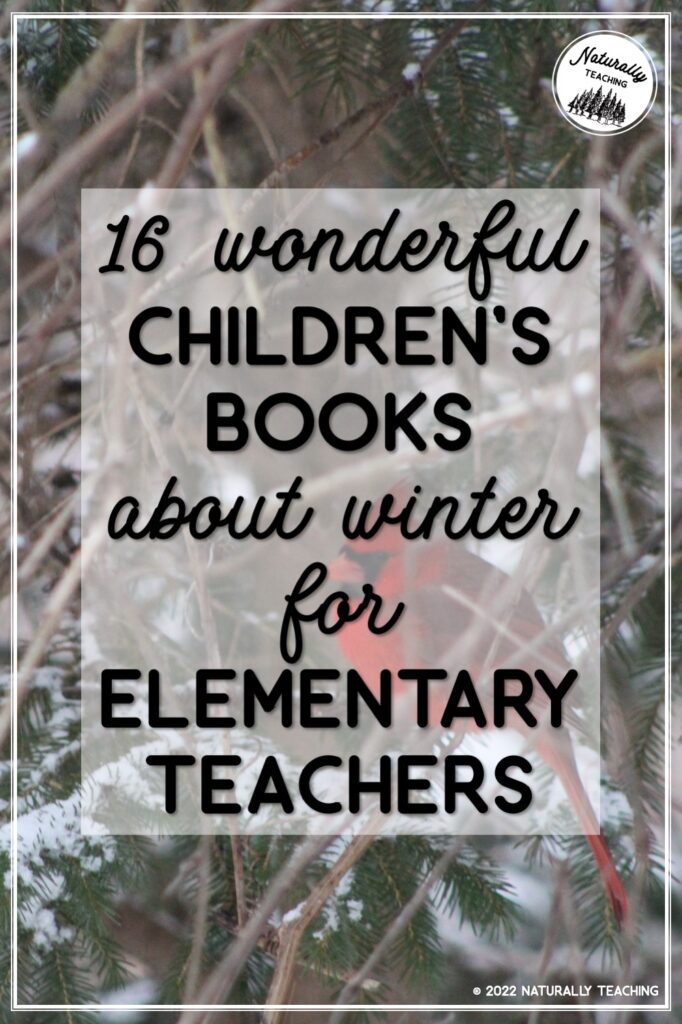 16 wonderful children's books about winter for elementary teachers
