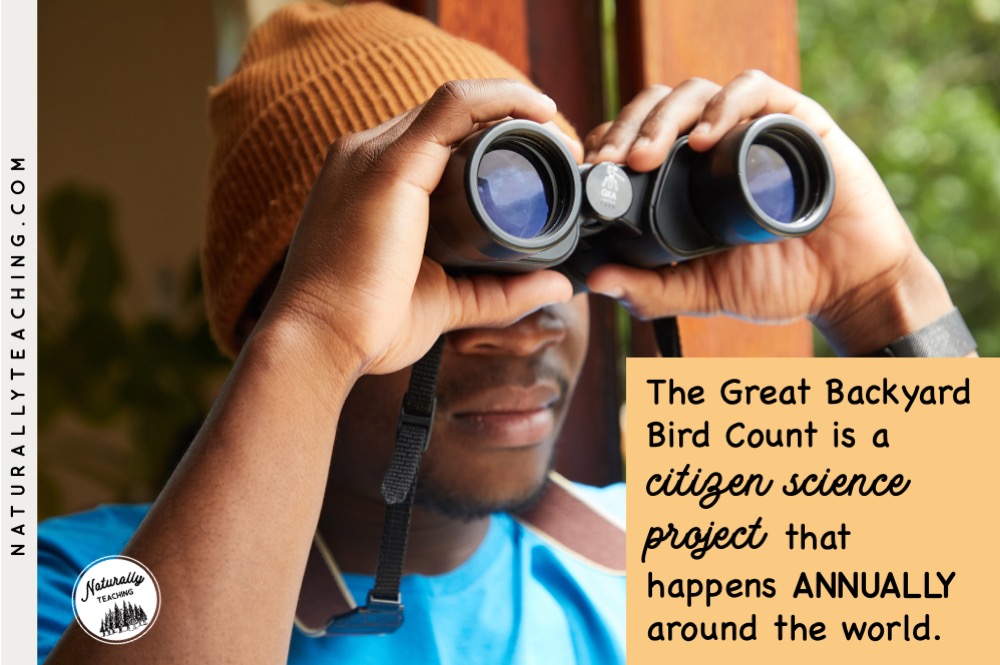 The Great Backyard Bird Count usually happens in the middle of February each year.