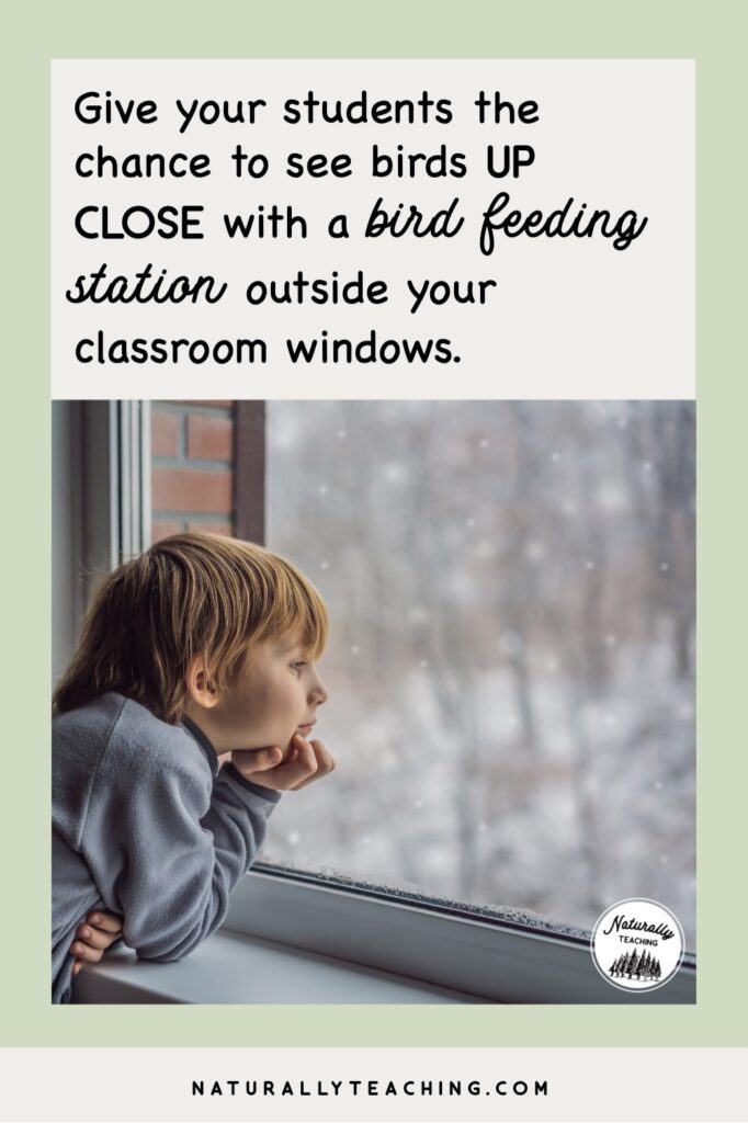 Your classroom windows will provide a great viewing place for your students to see the birds they will be counting on bird count day.