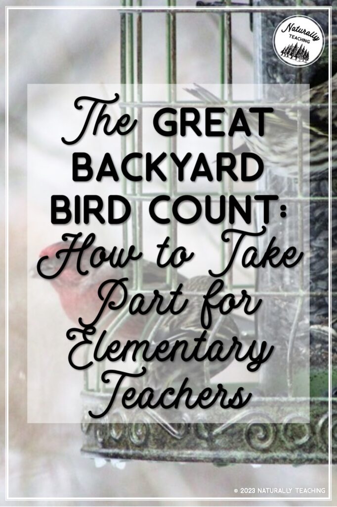 How to participate in the Great Backyard Bird Count for elementary teachers