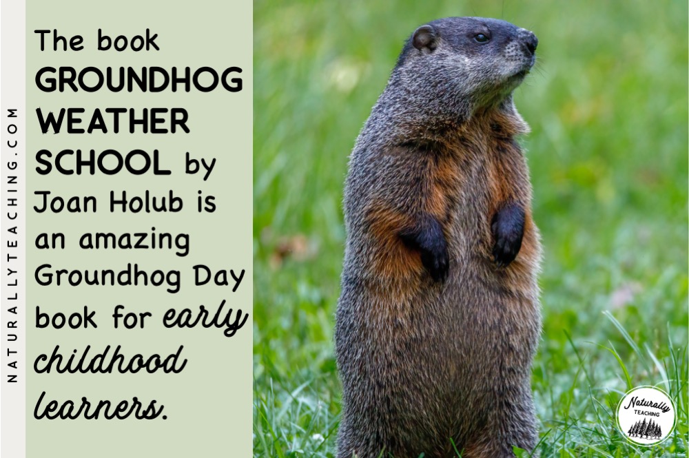 The "Groundhog Weather School" by Joan Holub is an amazing Groundhog Day book to celebrate the holiday with your early childhood learners and covers topics such as groundhog natural history, nature's weather predictors, information about hibernation, how seasons are made and shadows.