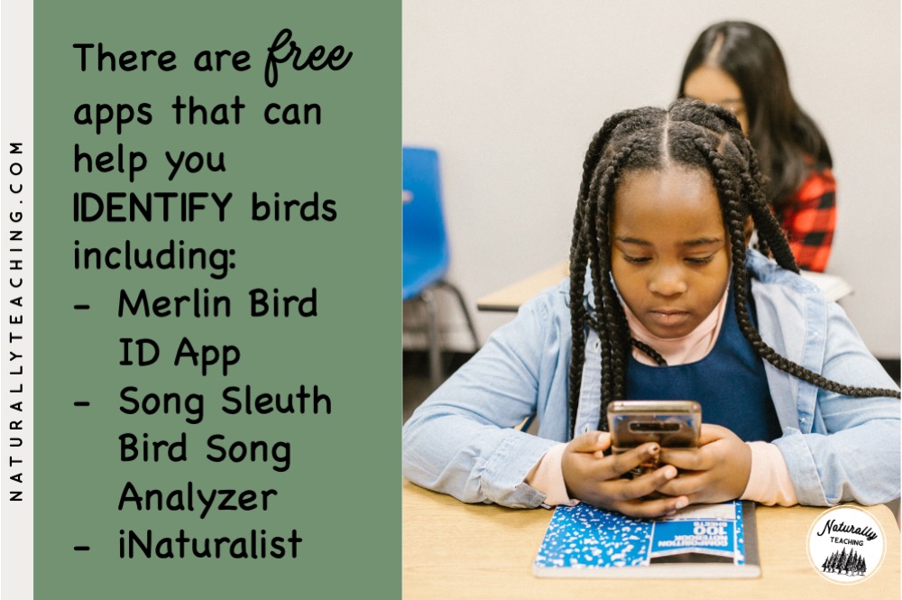 There are free apps for iPhone, Android phones, and iPads that can help with bird identification.