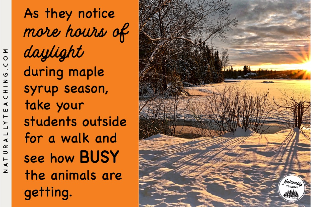 As your first graders chart the hours of daylight and notice more hours each day, take your students outside to see the effect the daylight has on the animals.