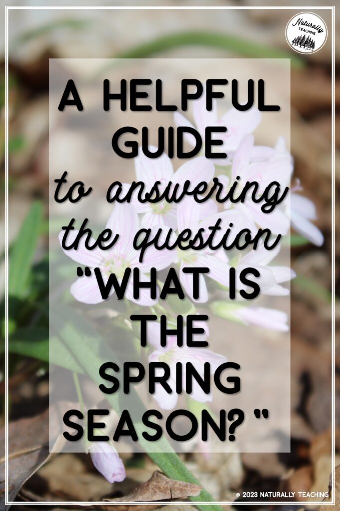 A helpful guide to answering the question, "what is the spring season?"