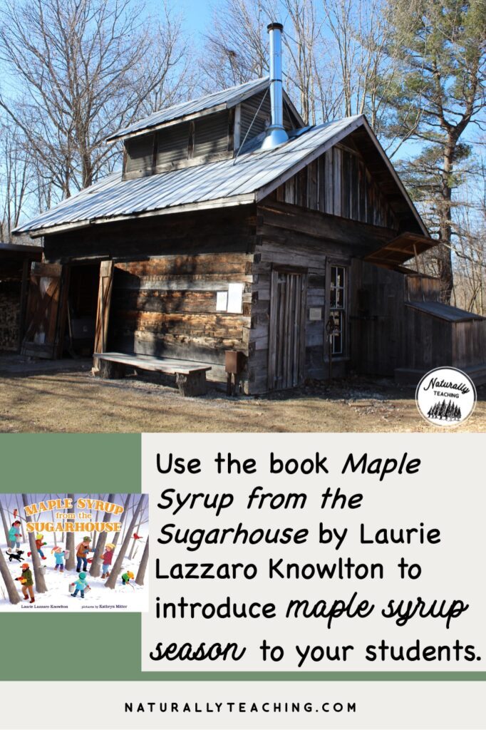Introducing the maple syrup season with a picture book is a great way to give your students the visuals and sounds of the season and Laurie Lazzaro Knowlton's "Maple Syrup from the Sugarhouse" book is a great option.