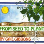 From Seed to Plant by Gail Gibbons