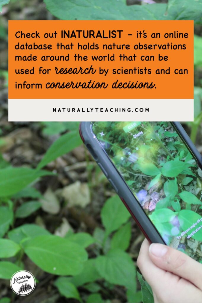 iNaturalist is a free app on your phone as well as a website on your desktop that can be used to participate in an Earth Day service project with your class.