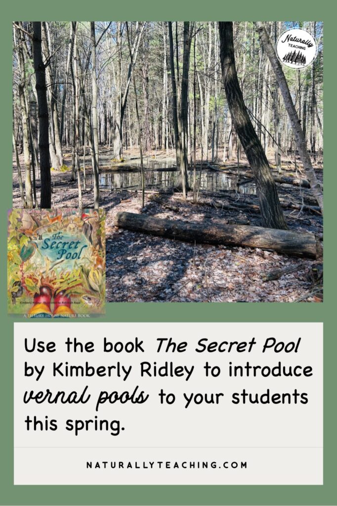 "The Secret Pool" is a picture book by Kimberly Ridley that introduces vernal pools and their inhabitants to young readers.