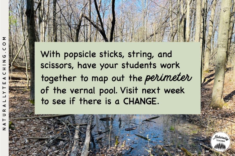 Vernal pools are temporary and dry up throughout the year.