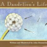 A Dandelion's Life by John Himmelman