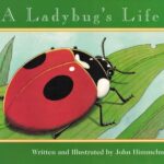 A Ladybug's Life by John Himmelman