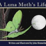 A Luna Moth's Life by John Himmelman