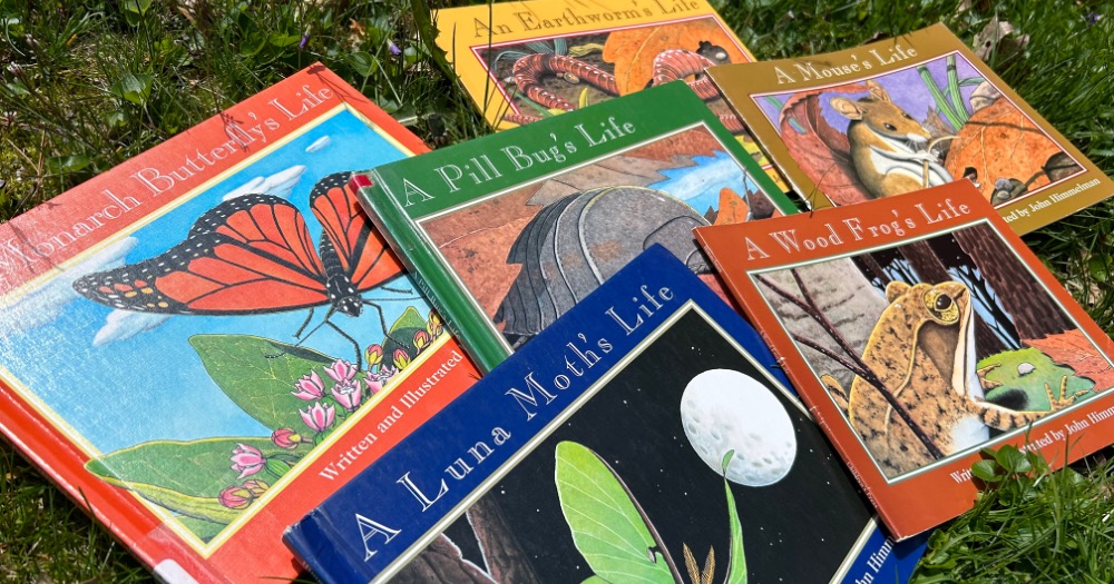 Read this list to find wonderful animal life cycles picture books to read to your students