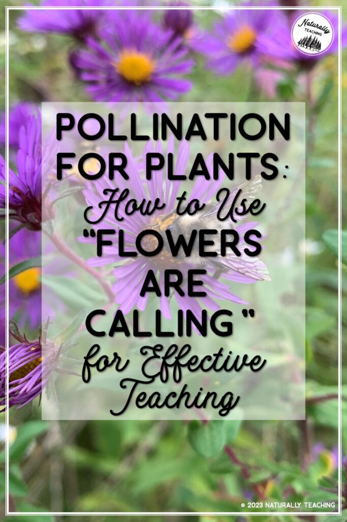 Read about pollination for plants and how they can help you in your elementary classroom