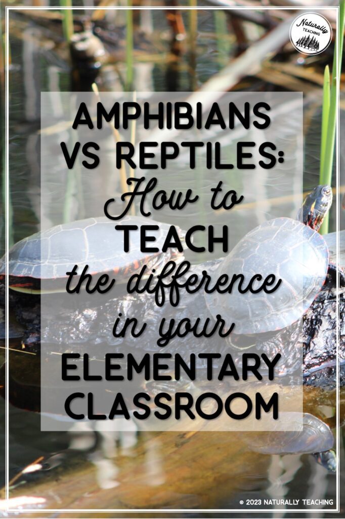 Read about amphibians vs reptiles and how it can help you in your elementary classroom