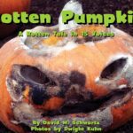 Rotten Pumpkin by David M. Schwartz