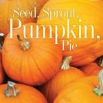 Seed, Sprout, Pumpkin, Pie by Jill Esbaum