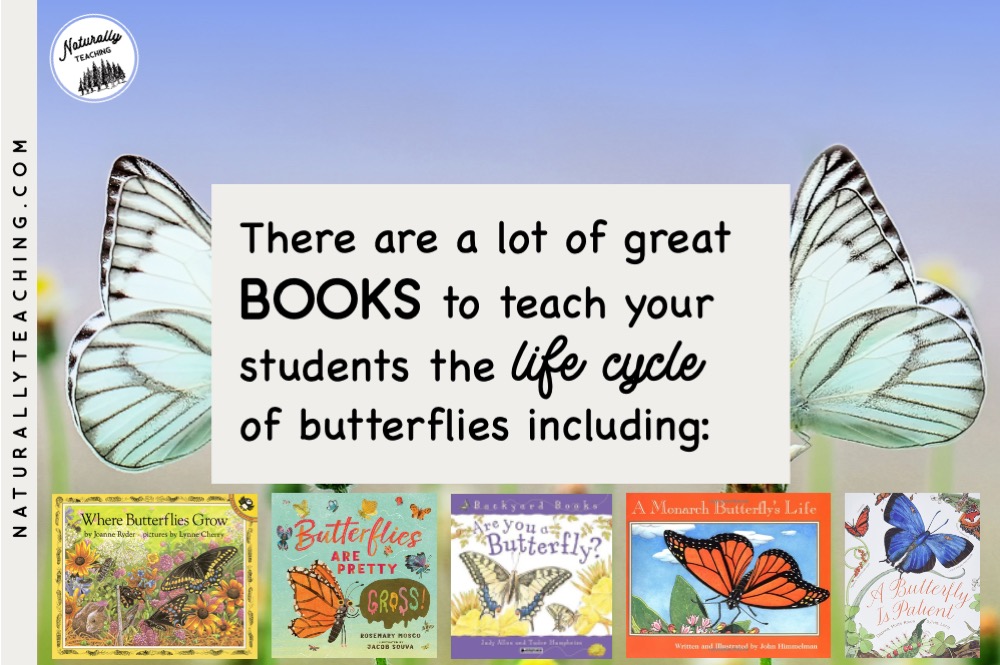 "The Very Hungry Caterpillar" is an okay option to teach butterfly life cycles but consider "Where Butterflies Grow", "Butterflies Are Pretty Gross", "Are You a Butterfly?", "A Monarch Butterfly's Life", and "A Butterfly is Patient"