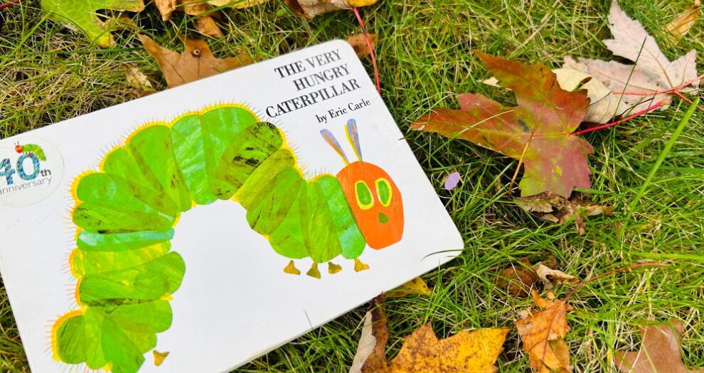 Read this article to find out why "The Very Hungry Caterpillar" isn't the best option to teach life cycles