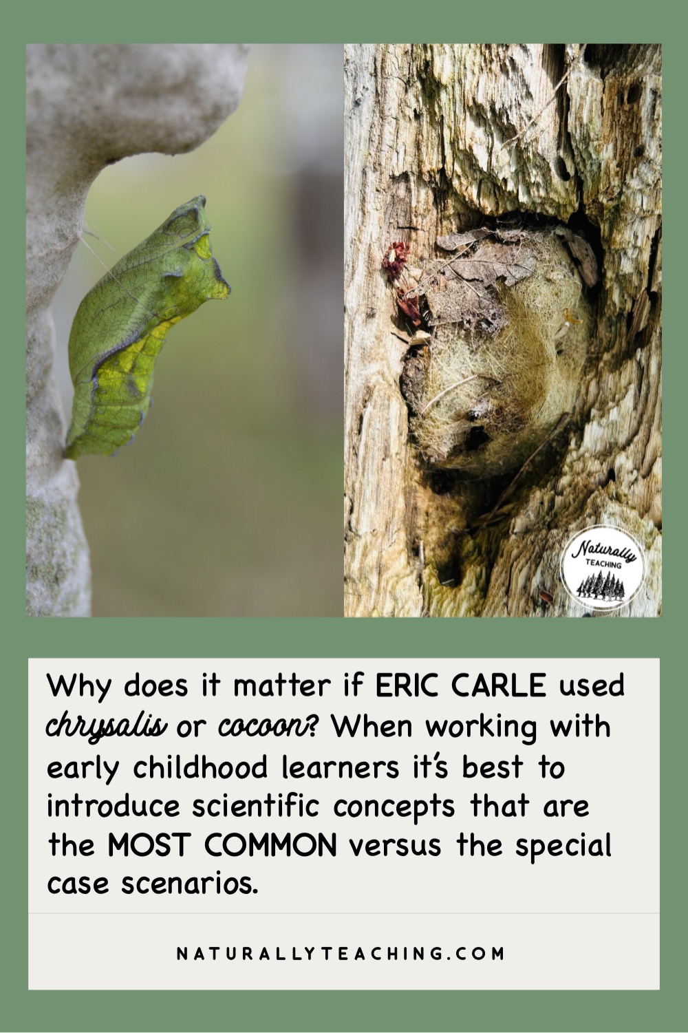 "The Very Hungry Caterpillar": Why It's Not the Best Option to Teach ...