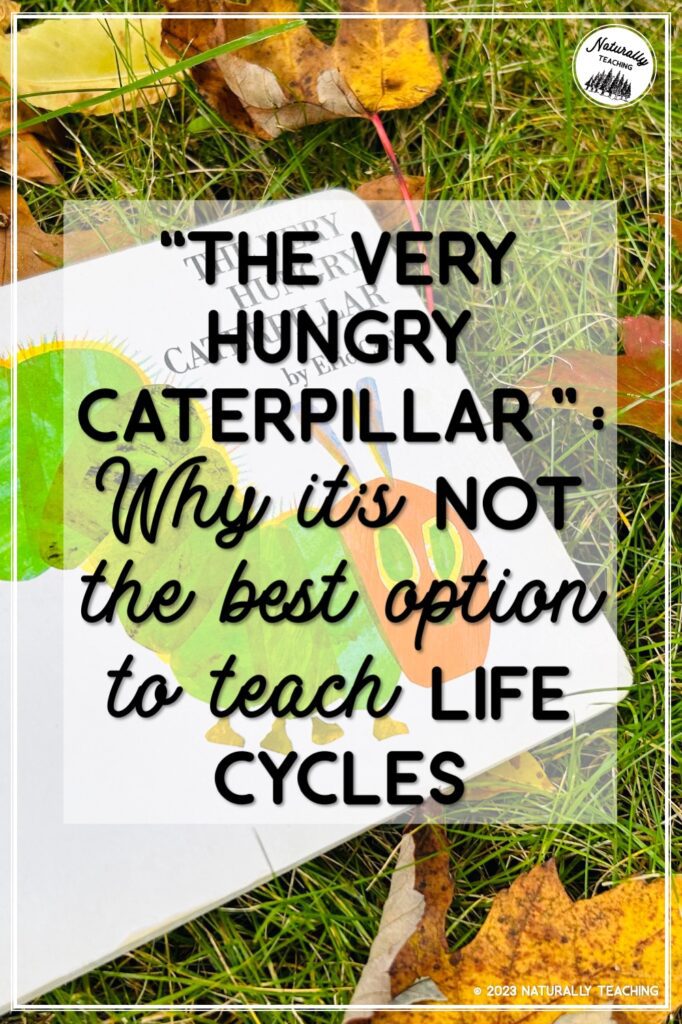 "The Very Hungry Caterpillar": Why it's not the best option to teach life cycles