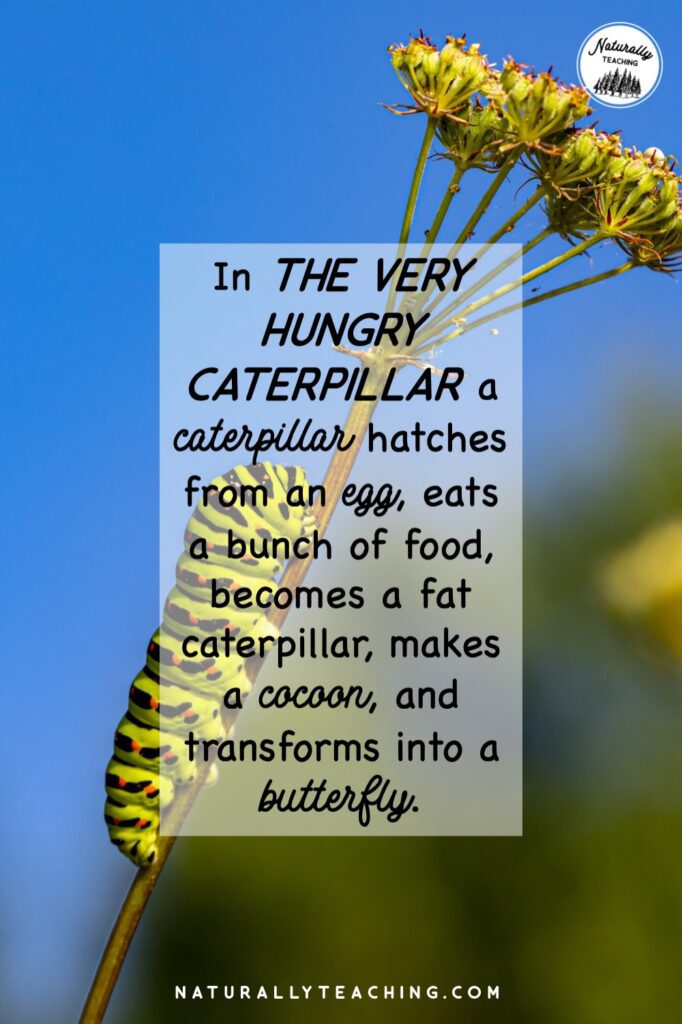 The classic book "The Very Hungry Caterpillar" was written and illustrated by Eric Carle
