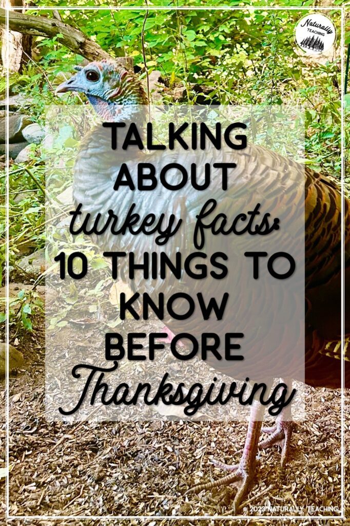 If you're talking about turkey facts this November check out this article and how it can help you in your elementary classroom
