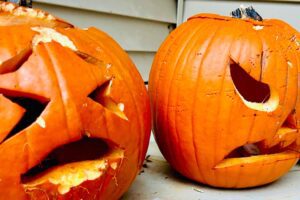 Read about pumpkins in November and how it can help you in your elementary classroom