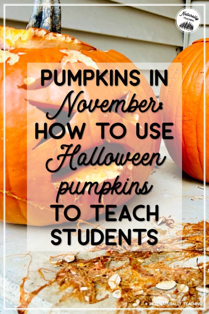 Read about pumpkins in November and how it can help you in your elementary classroom