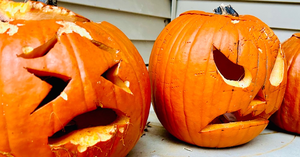 Read about pumpkins in November and how it can help you in your elementary classroom