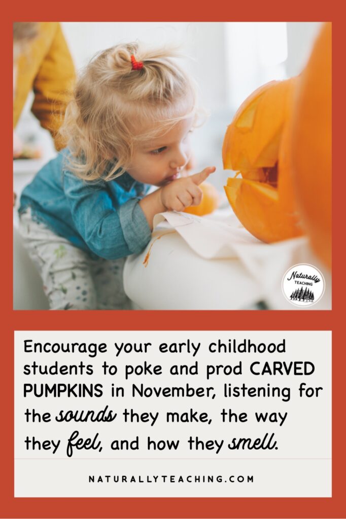 Early childhood learners like toddlers can benefit from sensory experiences that involve pumpkins in November.