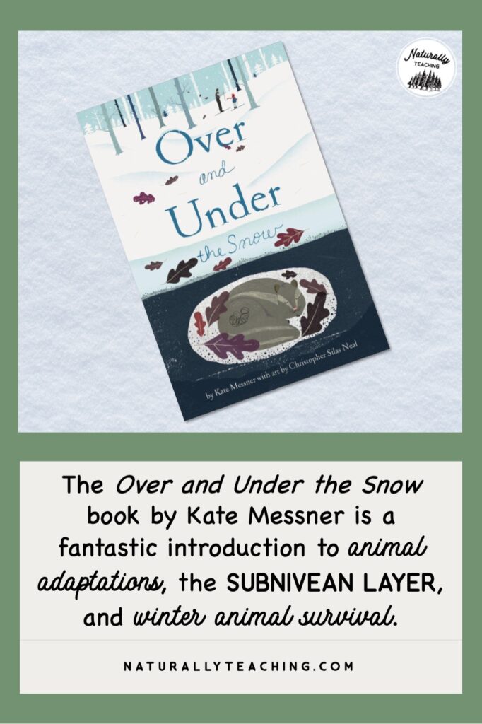 "Over and Under the Snow" by Kate Messner is a fantastic book to use in your elementary classroom