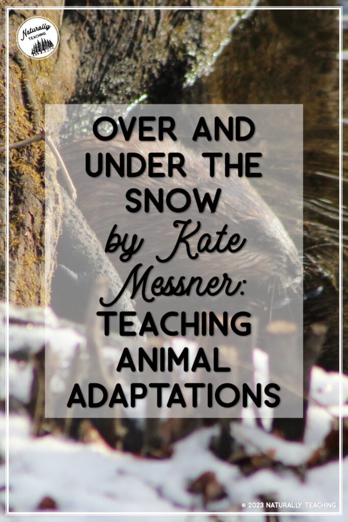 Read this guide to learn tips to use "Over and Under the Snow" with your elementary students