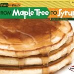 From Maple Tree to Syrup by Melanie Mitchell