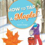 How to Tap a Maple! by Stephanie Mulligan