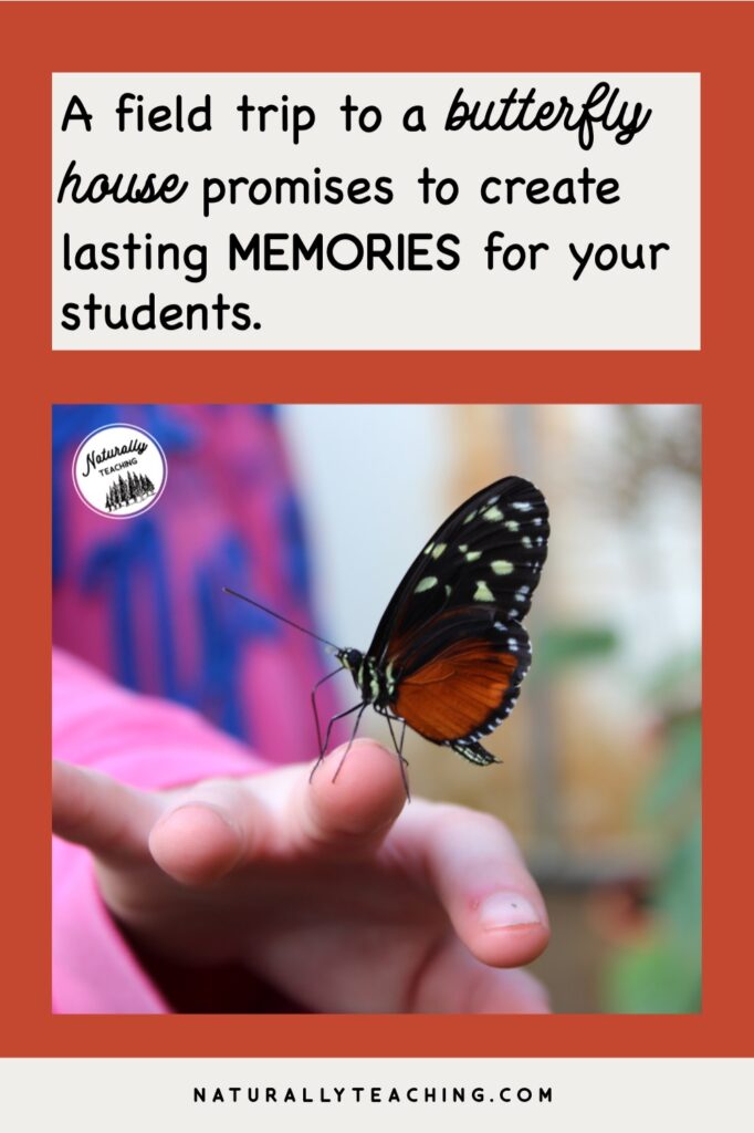 Visiting a butterfly house provides a chance for your students to get up close and personal with butterflies, just like this child who has a butterfly on their hand.