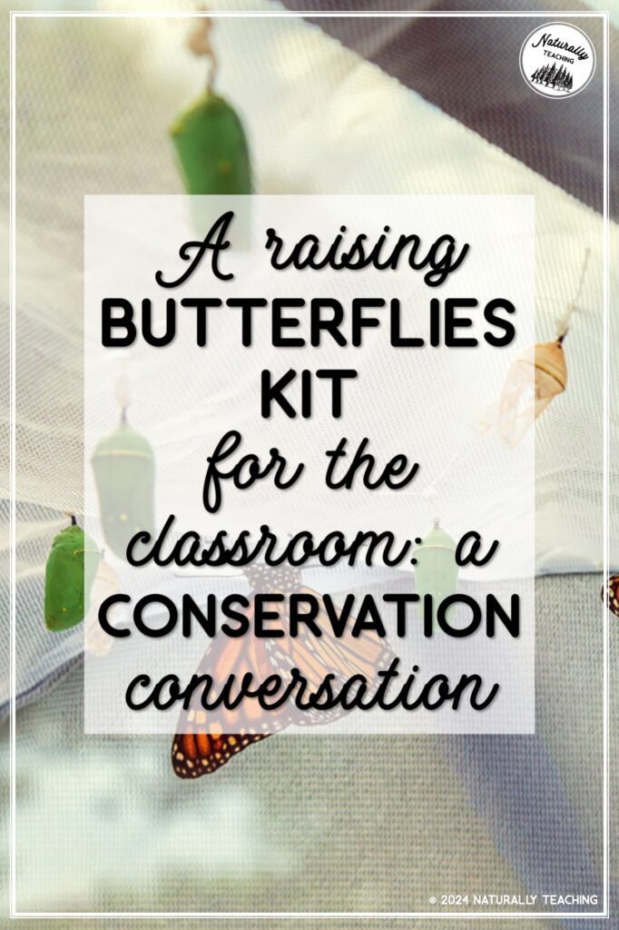 Read this interview to learn about the conservation implications for using a raising butterflies kit in your elementary classroom