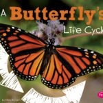 A Butterfly's Life Cycle by Mary R. Dunn