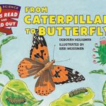 From Caterpillar to Butterfly by Deborah Heiligman