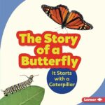 The Story of a Butterfly: It Starts with a Caterpillar by Shannon Zemlicka