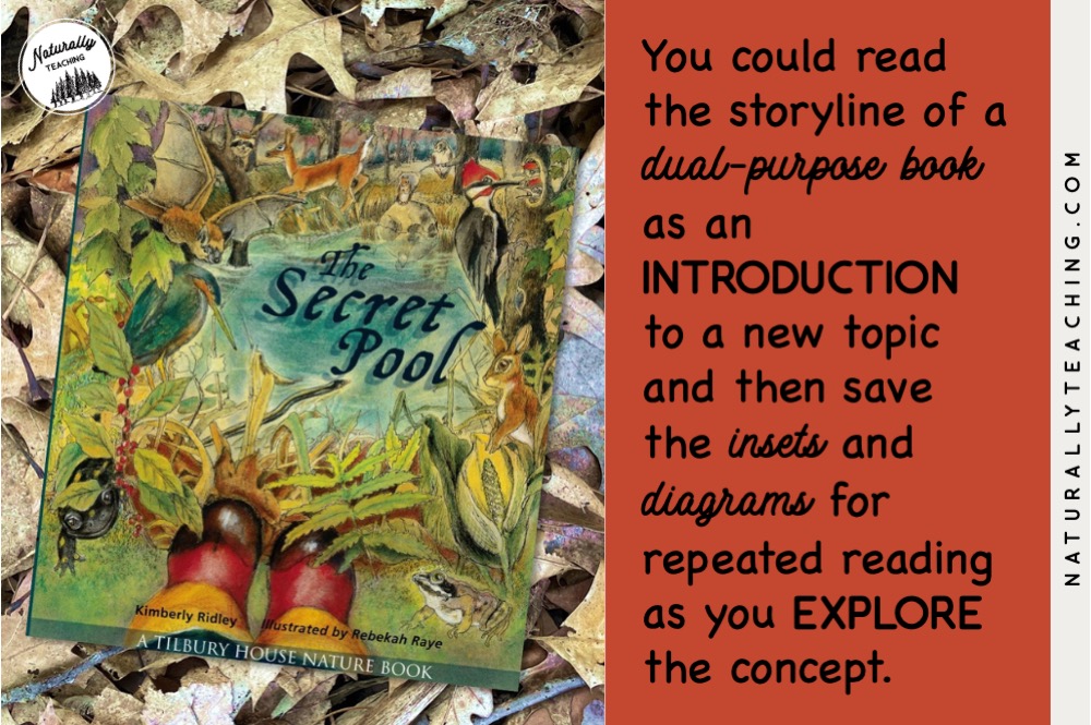 Like "The Secret Pool" dual-purpose books can be used at different stages of your learning about a new topic.