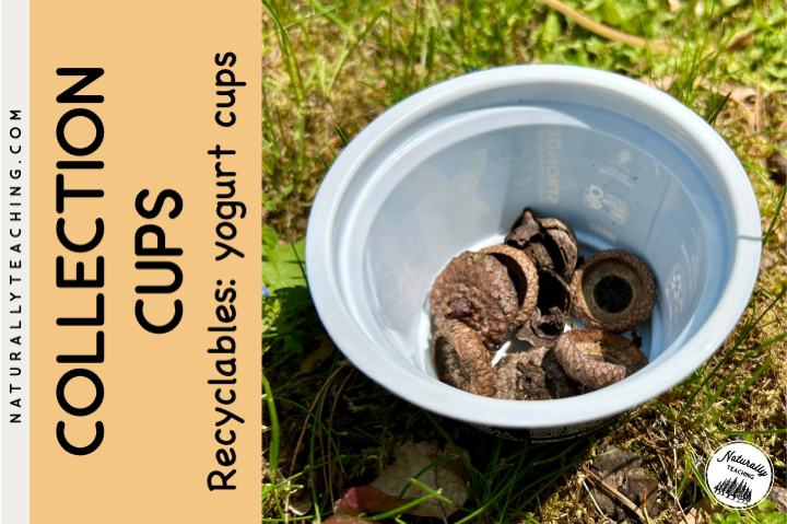 Yogurt cups can make great collection cups for students.