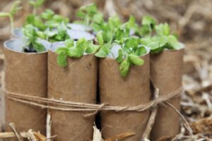 Read this article to learn about reusing recyclables to make 10 different science tools for your elementary classroom