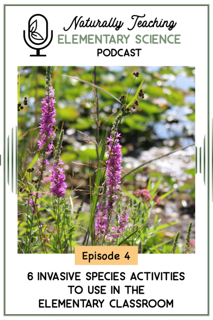 Episode 4: 6 Invasive Species Activities to Use in the Elementary Classroom